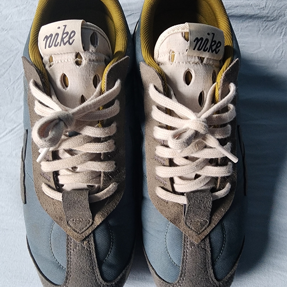 Nike Men's Blue & Gray Low-Top Sneakers